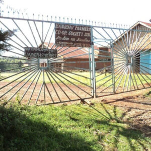 ケニア カリンドゥンドゥ ファクトリー